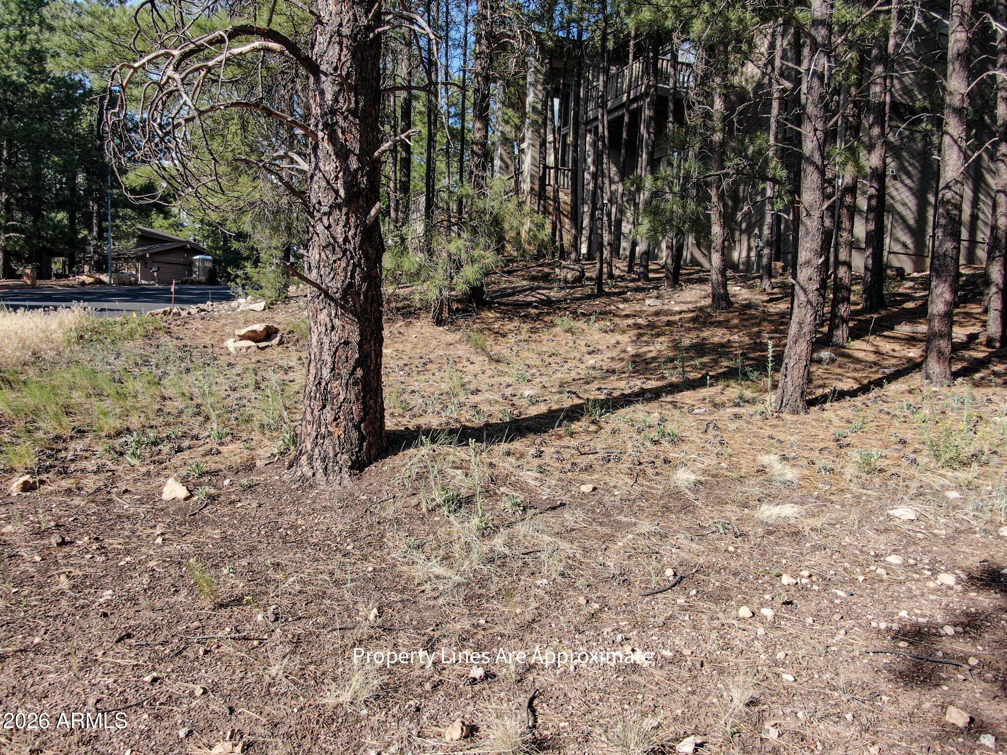 Evergreen Lot 42 Sixteenth: SW Quarter: SW Section: 18 Township: 21N - Land
