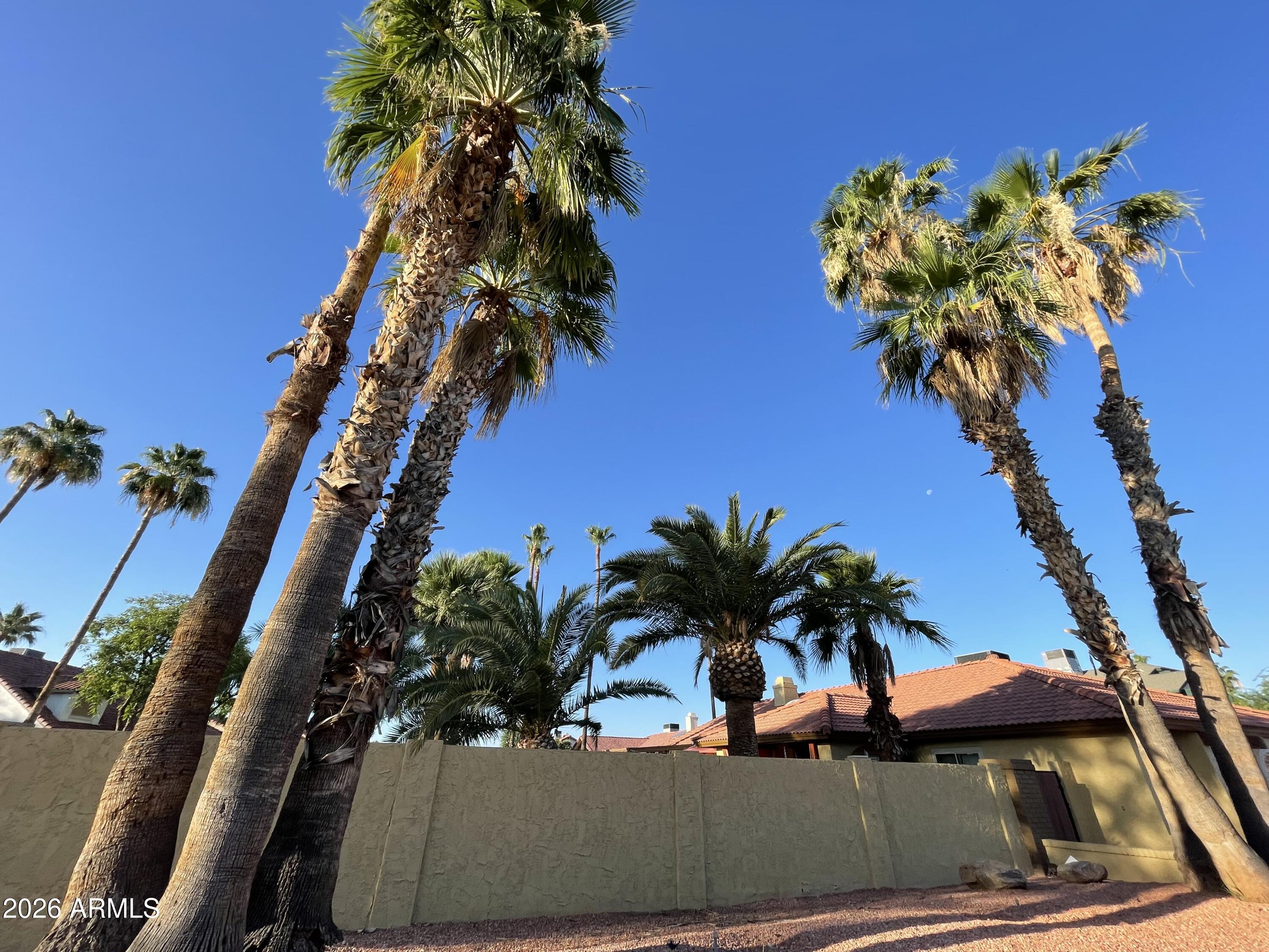 VILLAGE AT TIBURON UNIT 2 - Residential