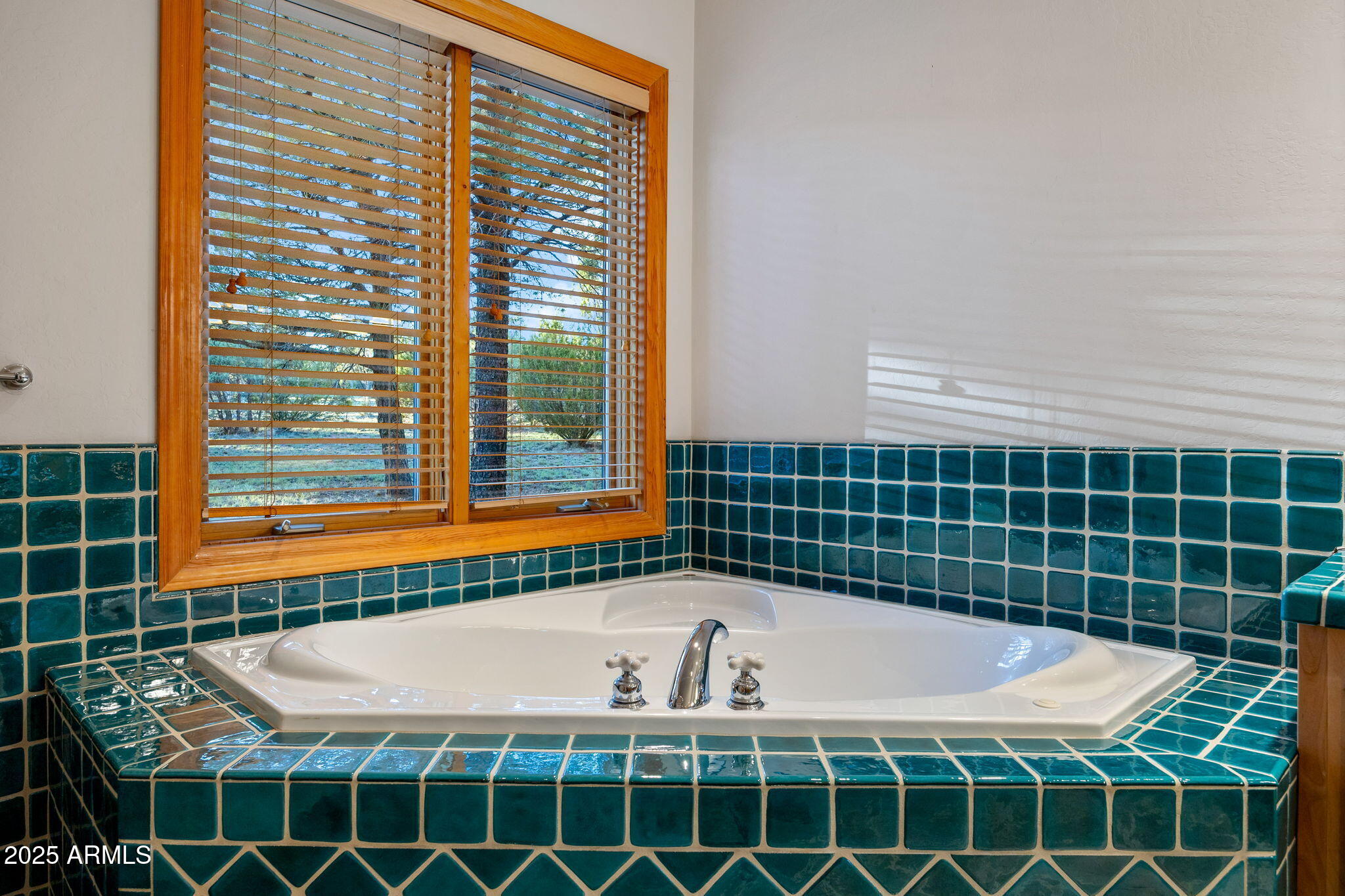 MOGOLLON ESTATES - Residential