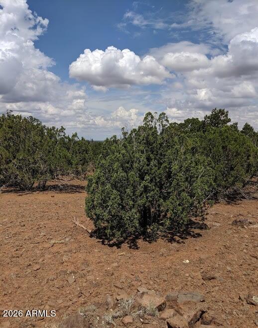 SHOW LOW PINES UNIT 3 - Land