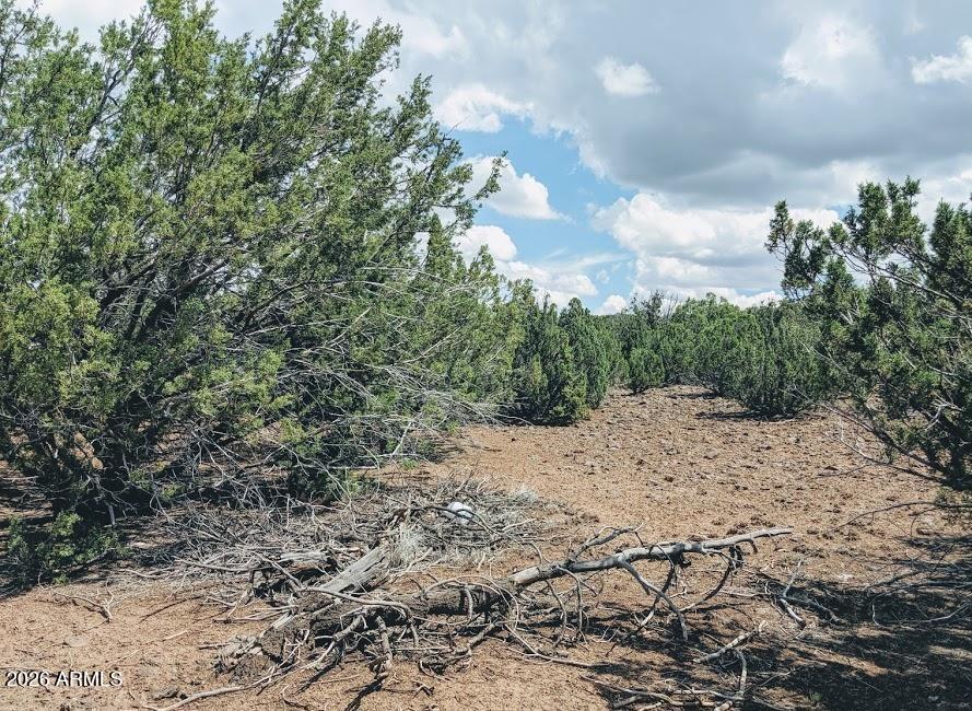 SHOW LOW PINES UNIT 3 - Land