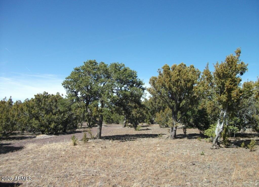 SHOW LOW PINES UNIT 3 - Land