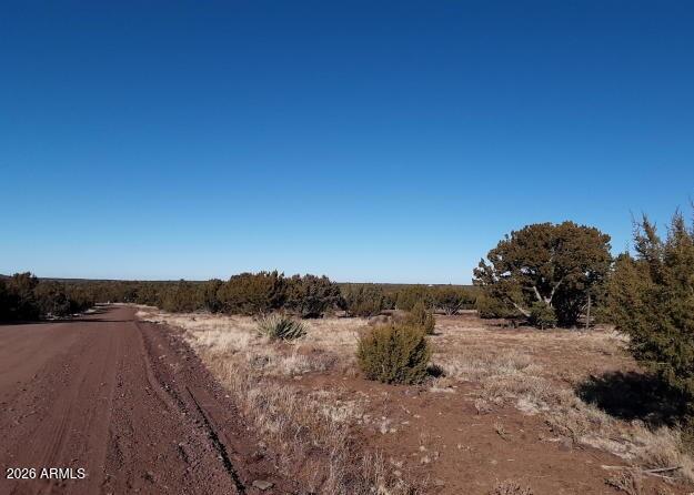 SHOW LOW PINES UNIT 3 - Land