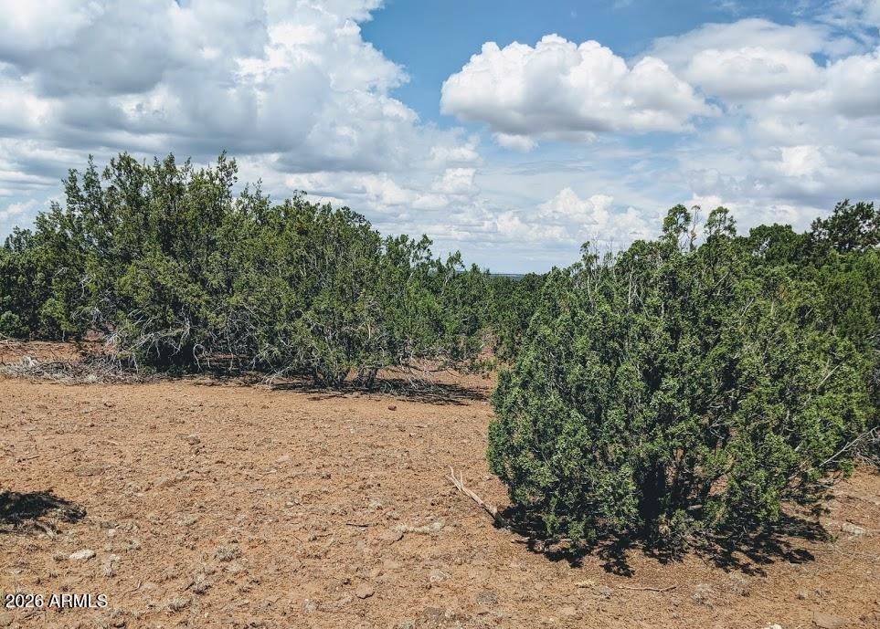 SHOW LOW PINES UNIT 3 - Land