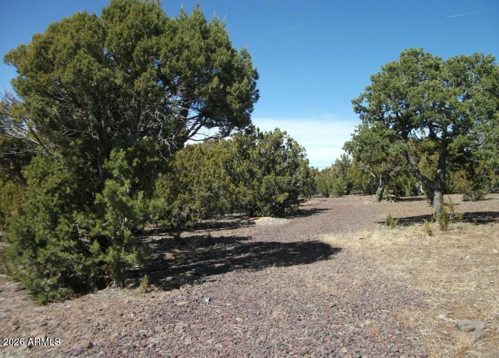 SHOW LOW PINES UNIT 3 - Land