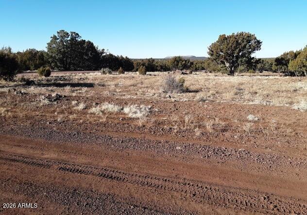 SHOW LOW PINES UNIT 3 - Land