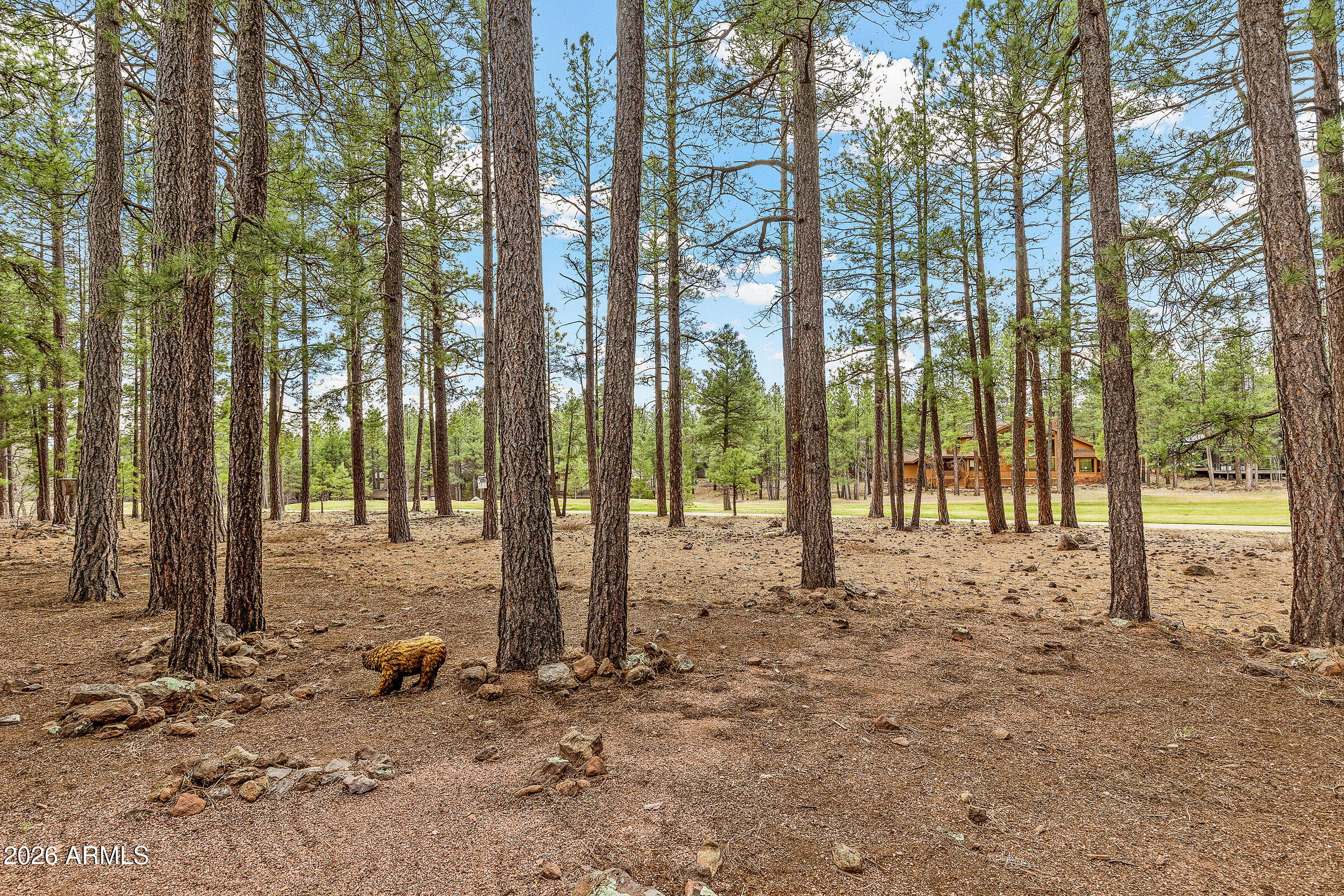 Forest Highlands - Residential