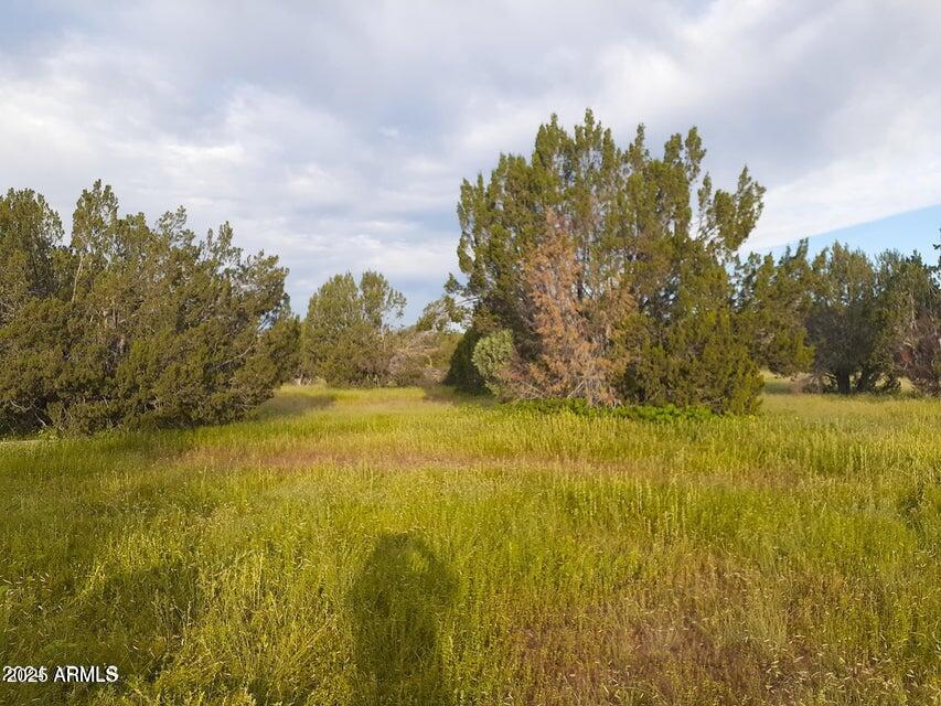 BRIDGE CANYON COUNTRY ESTATES UNIT 23 - Land