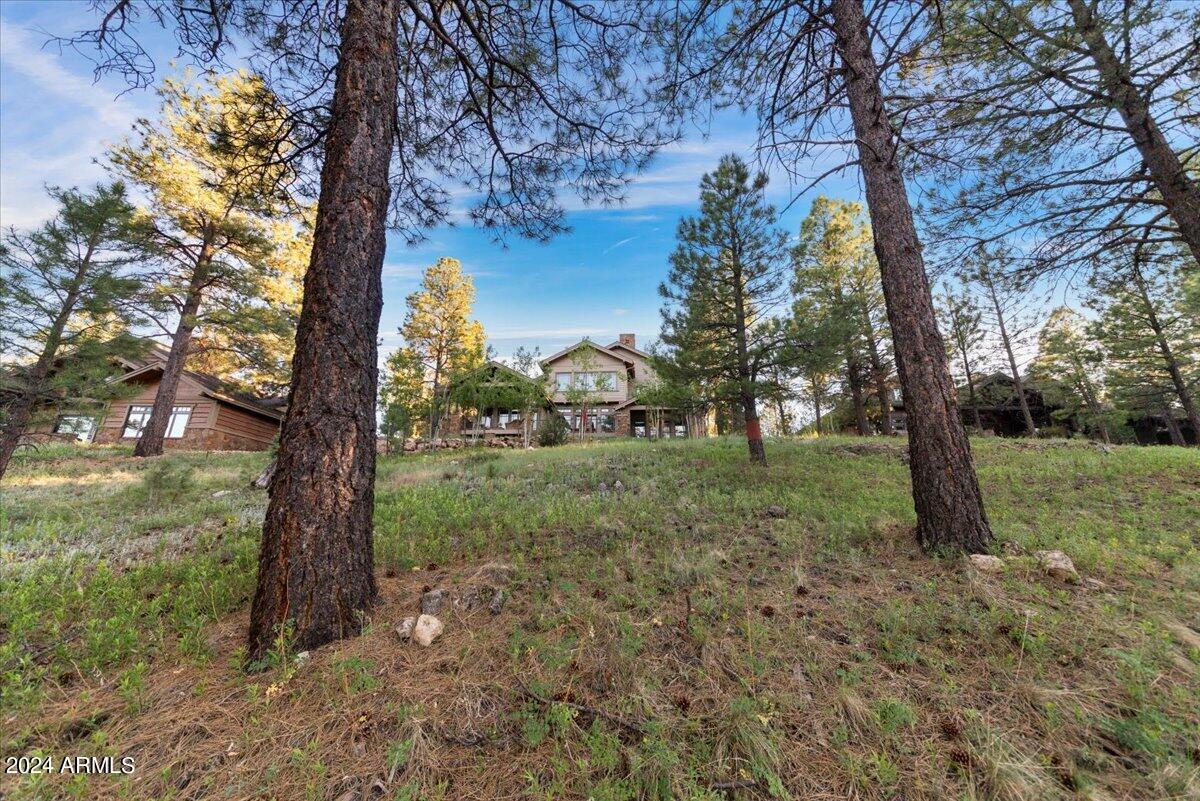 Pine Canyon - Residential