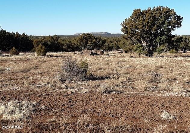 SHOW LOW PINES UNIT 3 - Land