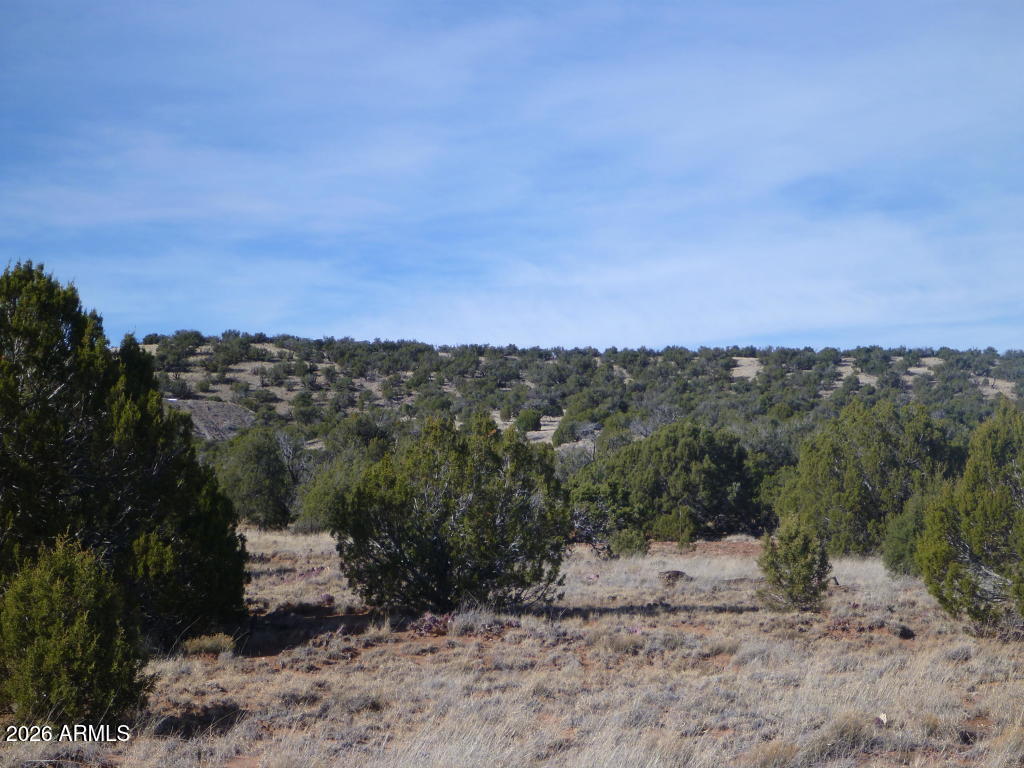 SHOW LOW PINES UNIT 3 - Land