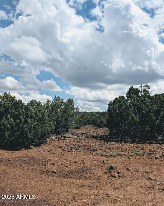 SHOW LOW PINES UNIT 3 - Land