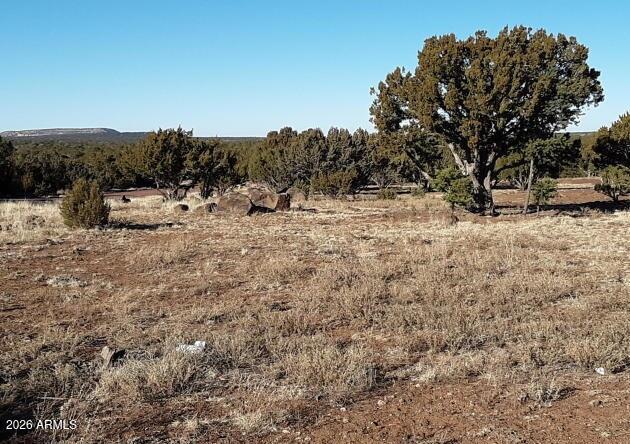 SHOW LOW PINES UNIT 3 - Land