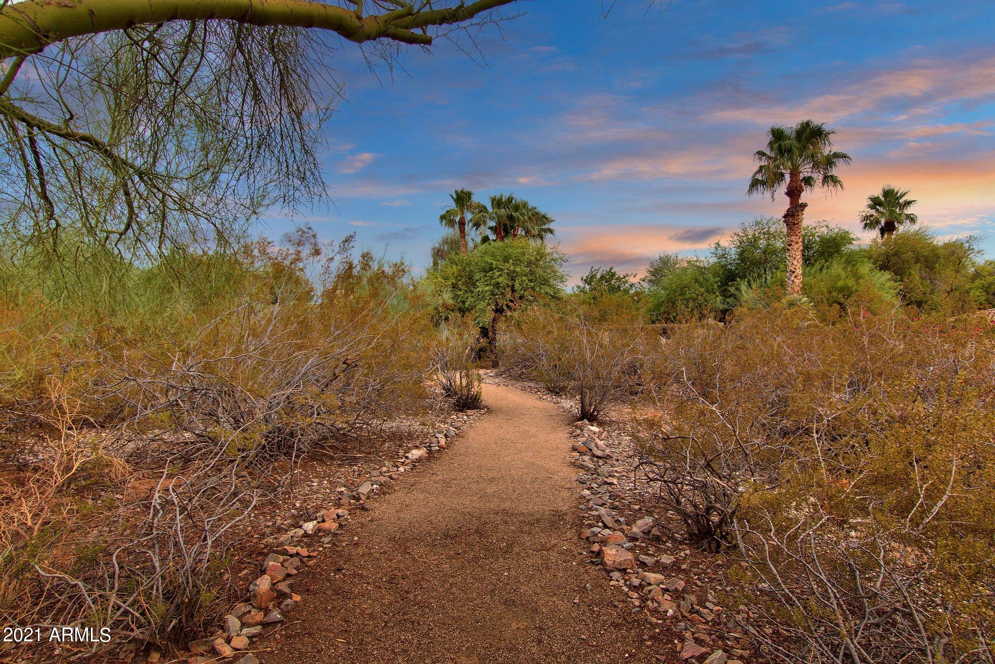 Paradise Valley - Residential
