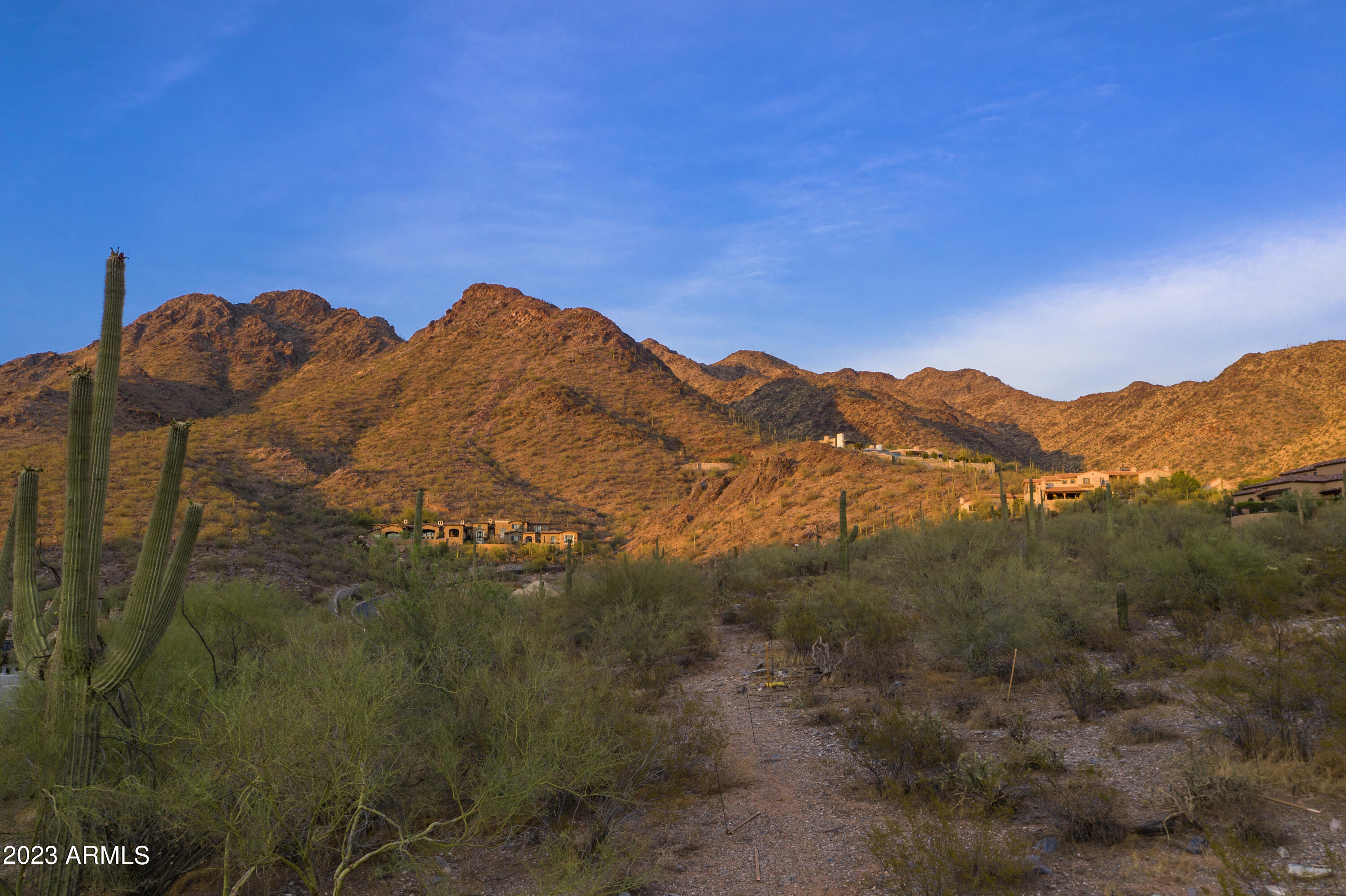 Silverleaf - Land