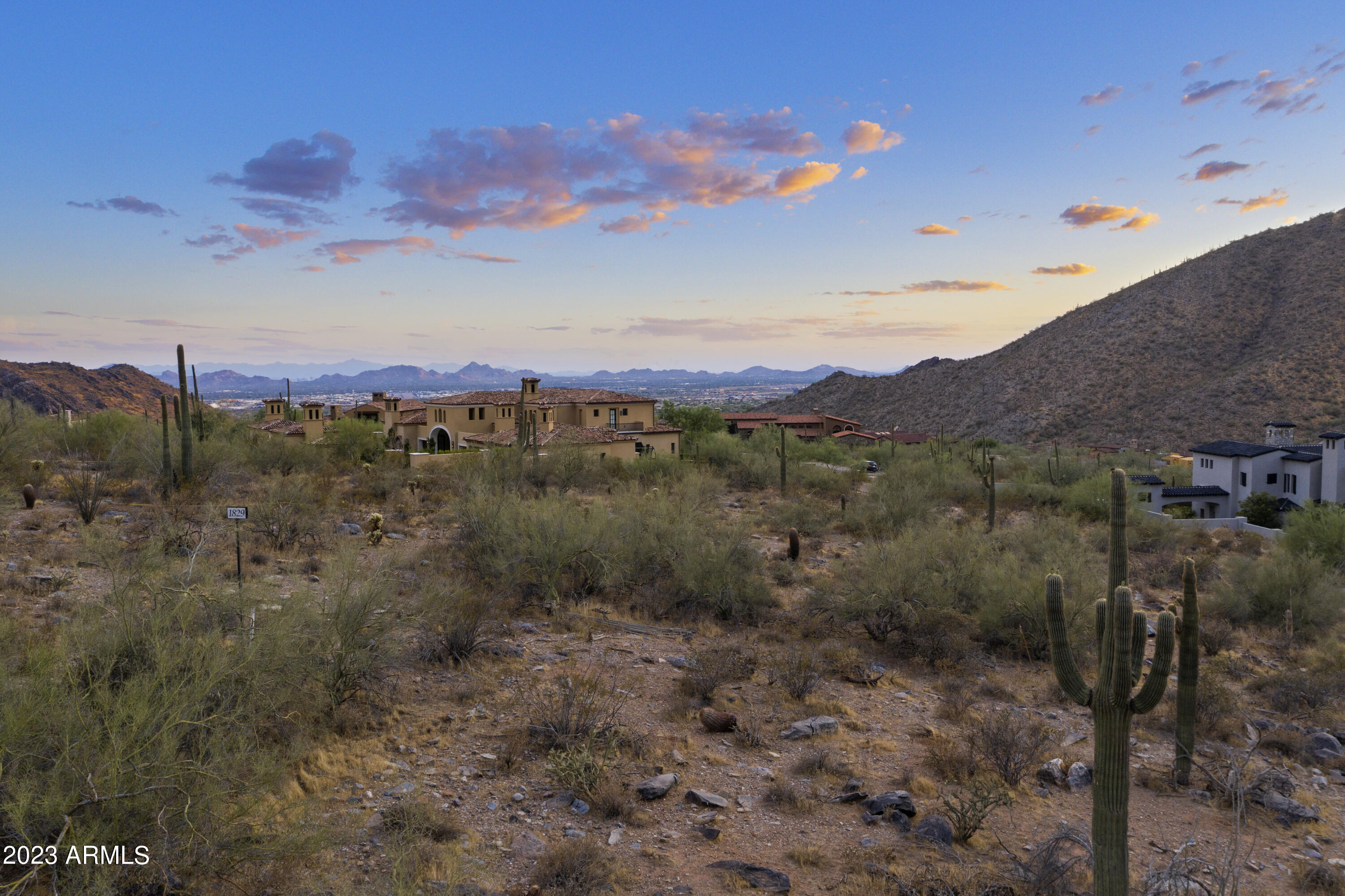 Silverleaf - Land