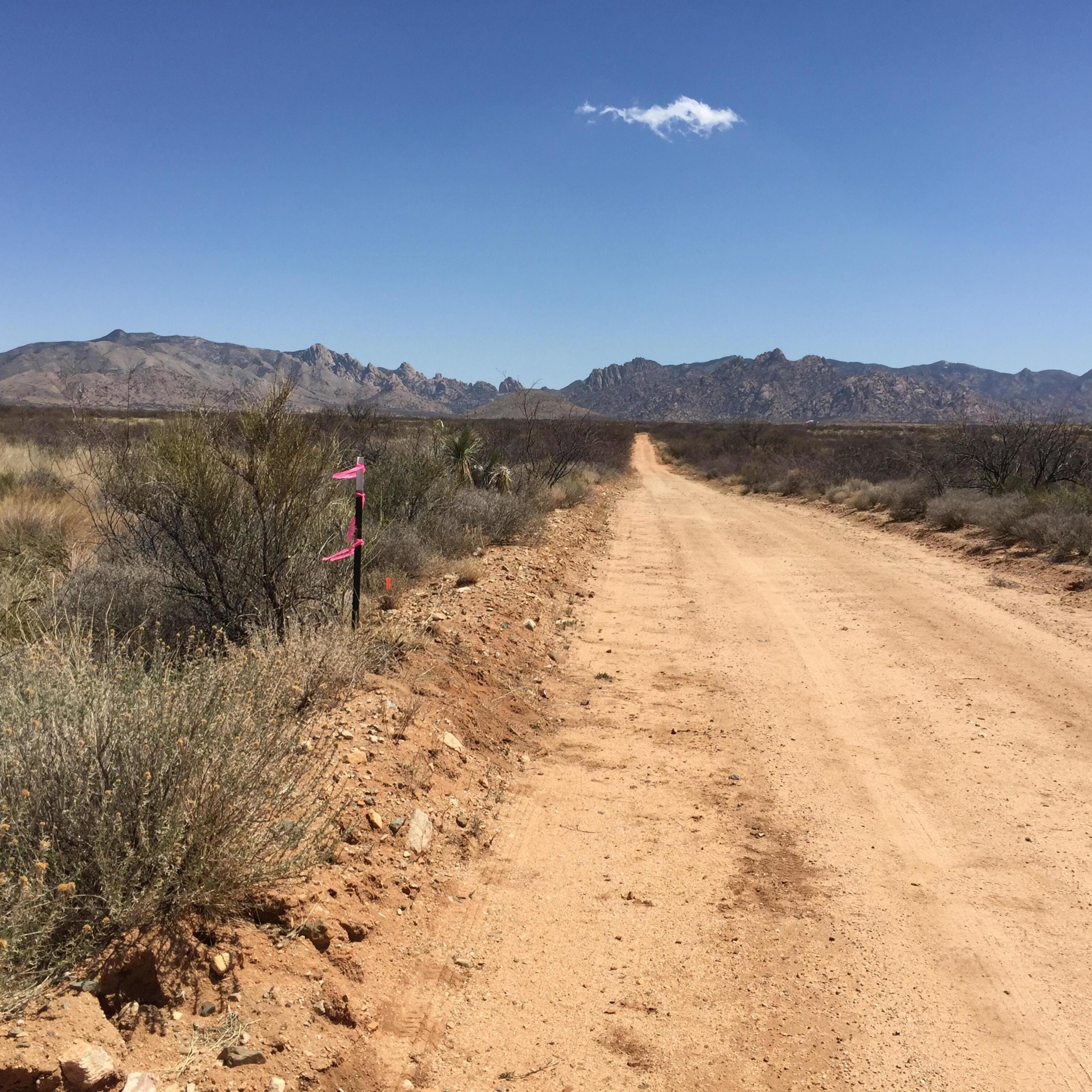 DRAGOON MOUNTAIN RANCH UNIT 1 - Land