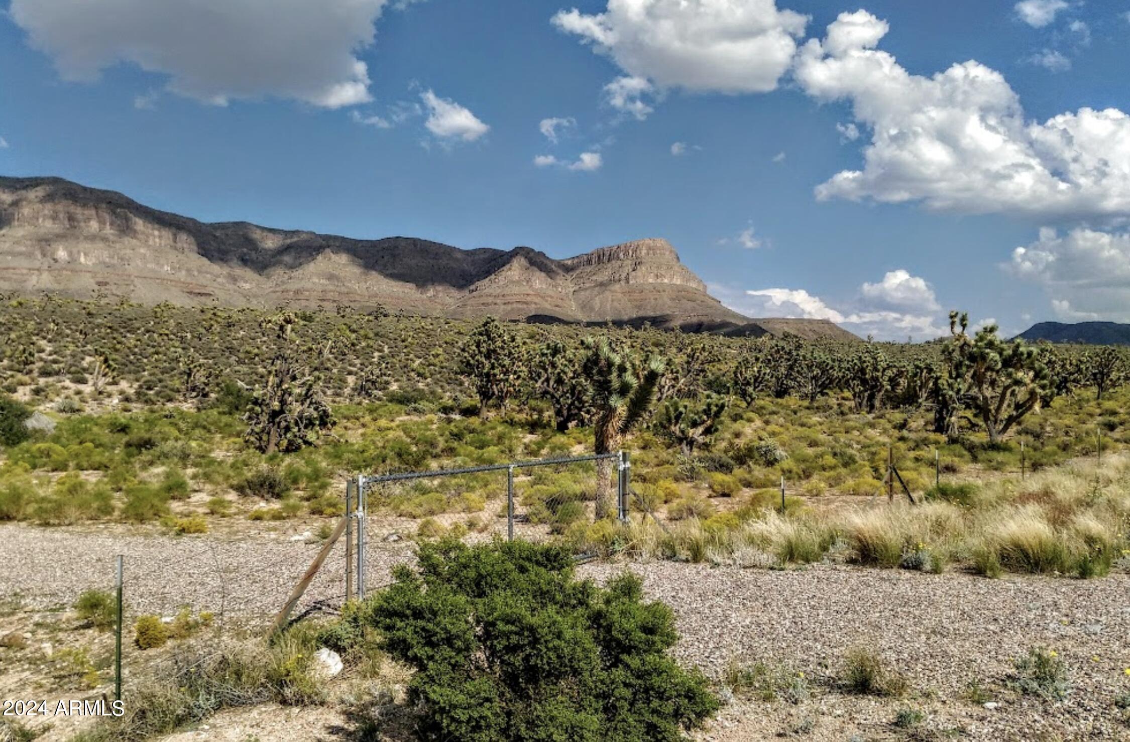 LAKE MOHAVE RANCHOS UNIT 12 1ST AMD - Land