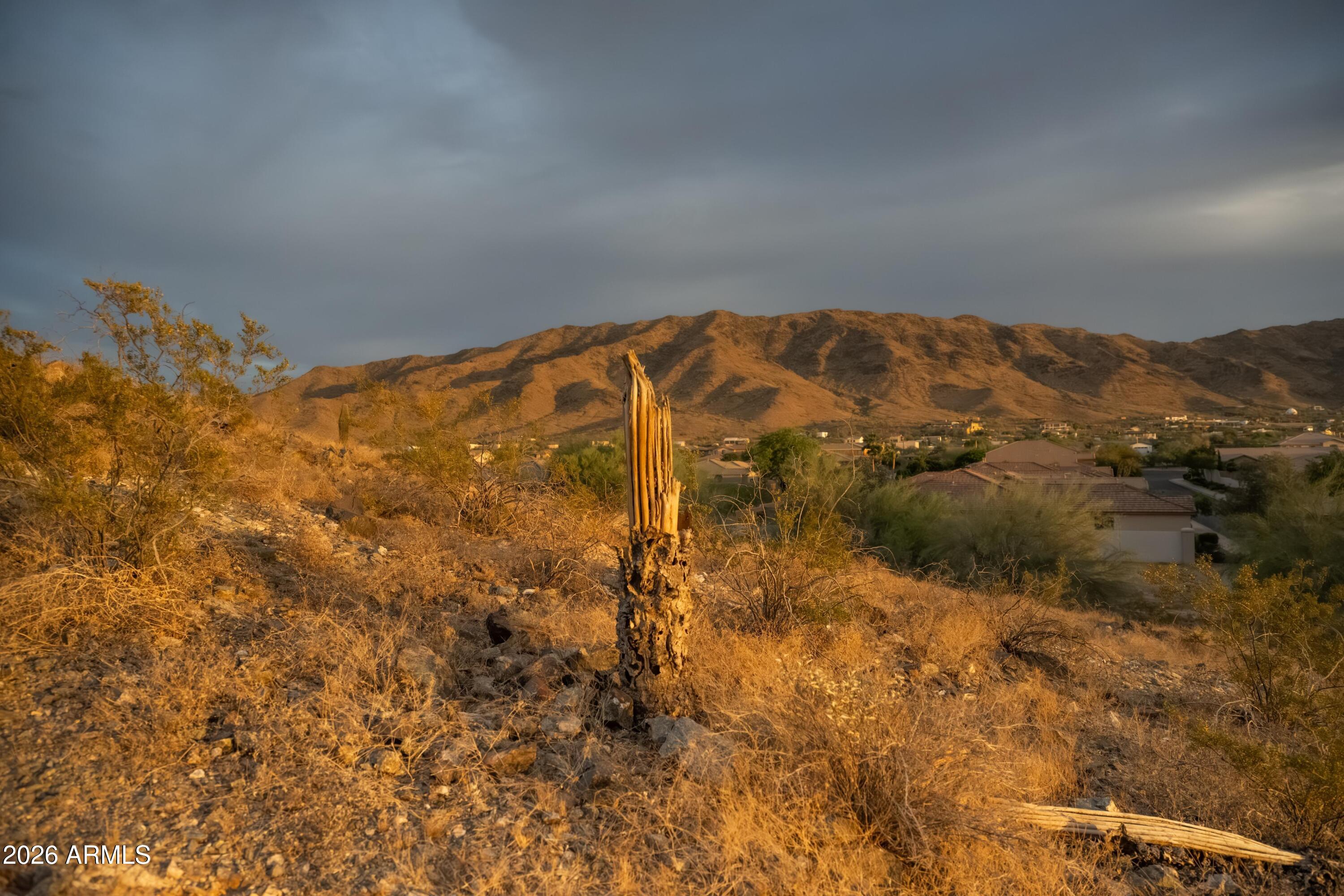 CITRUS MOUNTAIN ESTATES - Land