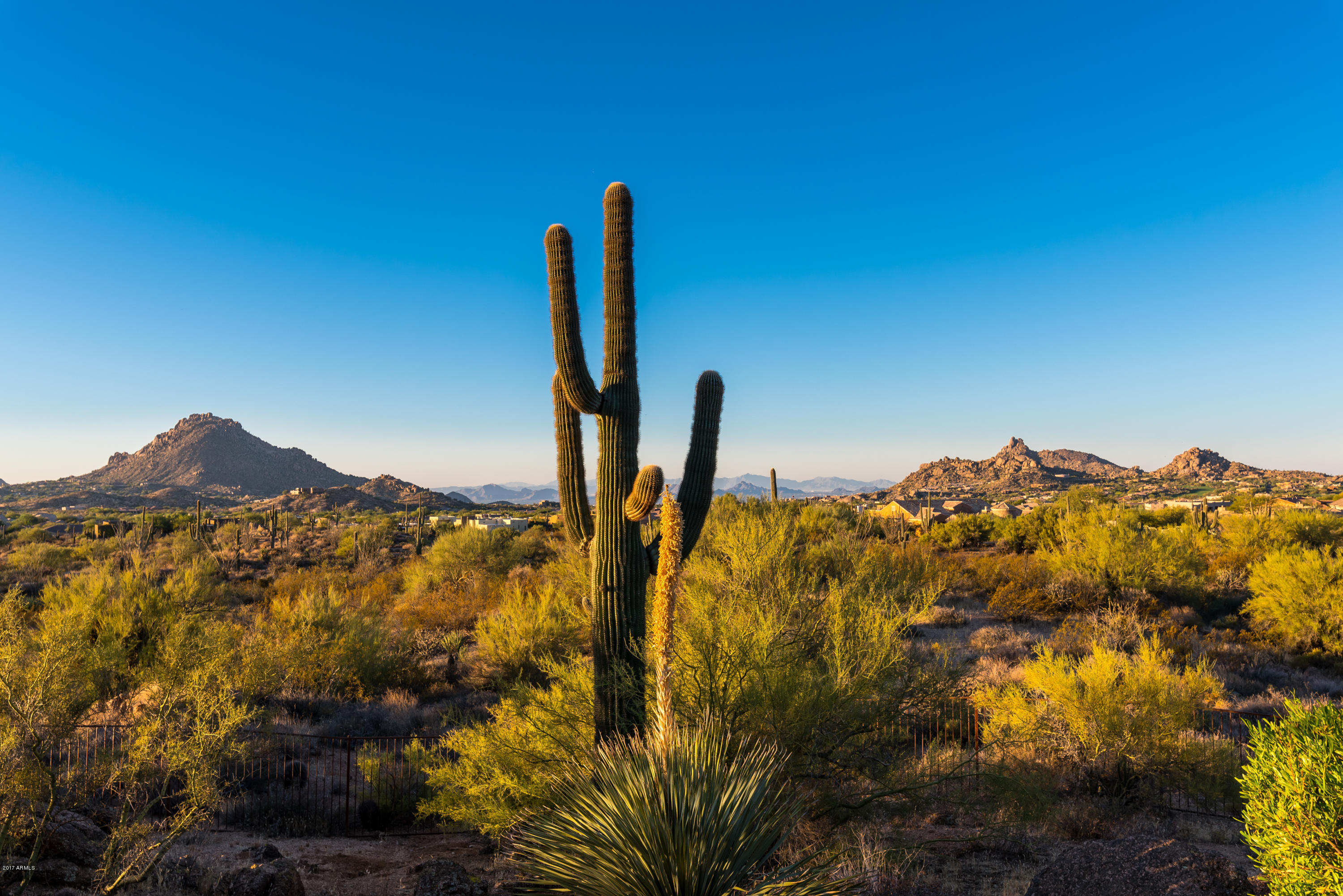 Goldie Brown Pinnacle Peak - Residential