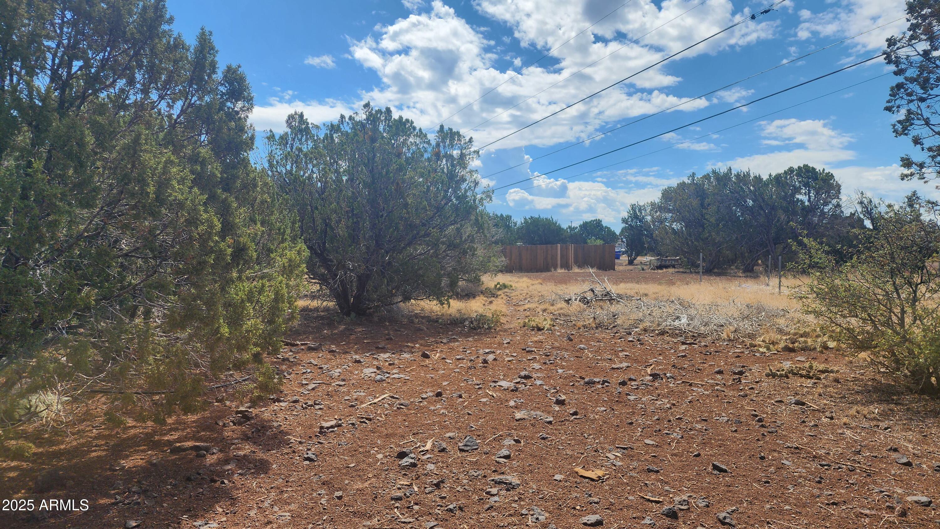 White Mountain Lakes #7 - Land