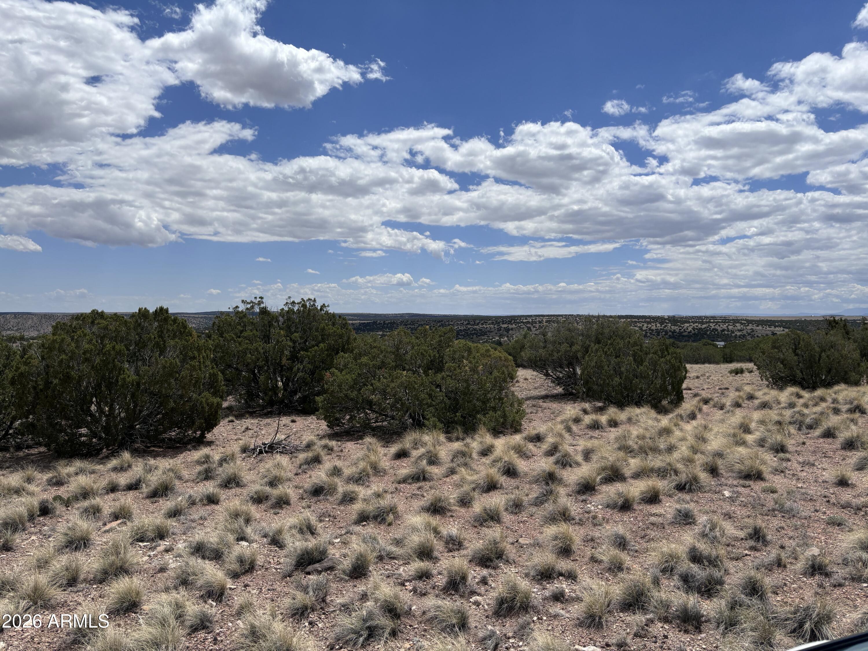 This little over an acre property in Concho, Arizona offers the perfect blend of rural living and convenience. Located just one street off a paved road and close to town, this residential rural lot is ready for your vision. Slightly elevated, the property captures panoramic views of the surrounding landscape, giving you a front-row seat to Arizona's beautiful wide-open skies and stunning sunsets.
Bring your dream home plans, toys, animals, and hobbies and create the lifestyle you've been looking for. Whether you're ready to build now, buy and hold as an investment, or secure your own piece of Arizona land for the future, this property offers plenty of possibilities. Electricity is available in the area. Buyer to verify availability of water, sewer, utilities, zoning, and all facts, figure