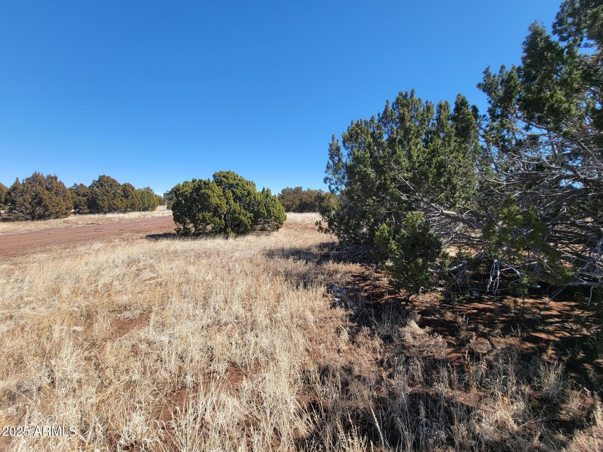 PARK SHOW LOW UNIT 4 - Land
