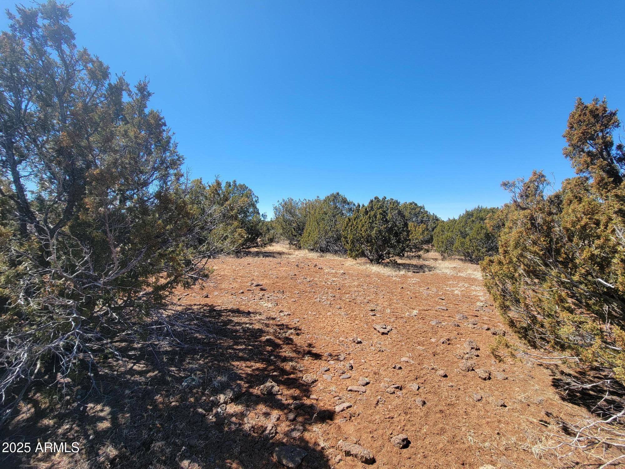 PARK SHOW LOW UNIT 4 - Land