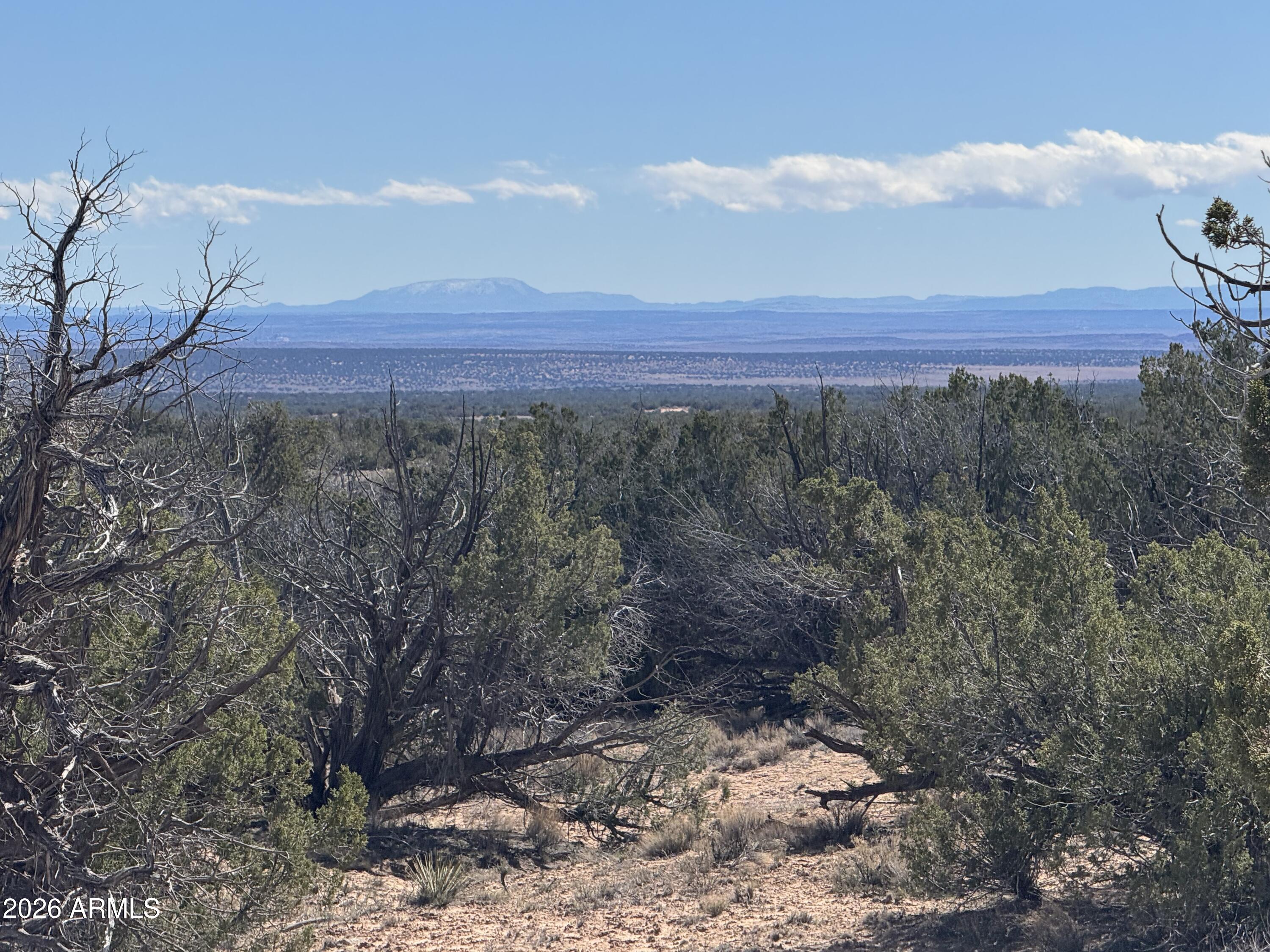 A rare opportunity awaits on this expansive 51.38-acre parcel--land that feels meant to be discovered. Accessible year-round, it features broad, inviting spaces perfect for building, all nestled among mature trees that offer natural beauty and shade. From every vantage point, sweeping vistas extend for miles, evoking a sense of calm, perspective, and escape from the ordinary. Privacy and seclusion are paramount here; the property feels as though it exists in a world apart, far from the daily rush. When darkness falls, the night sky becomes a spectacle--some of the darkest skies in the nation make this a paradise for stargazers, amateur astronomers, and photographers alike. Watch the Milky Way, bright constellations, and meteors unfold in pristine clarity, night after night. This extraordinary property is listed at $48,900, with seller financing available at 20% down and payments of $388.45 per month. Cash buyers may negotiate a special price. For those seeking the ordinary, look elsewhere. But if solitude, natural beauty, and a landscape that inspires your imagination speak to you, this land may be exactly what you've been searching for. The parcel right next to this one is also available, 60 acres, $52,900, same terms.