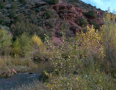 5 Acres or More - Land