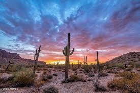 CHANDLER HEIGHTS RANCHES UNIT IV - 3.3 ACRE VIEW LOT - Land