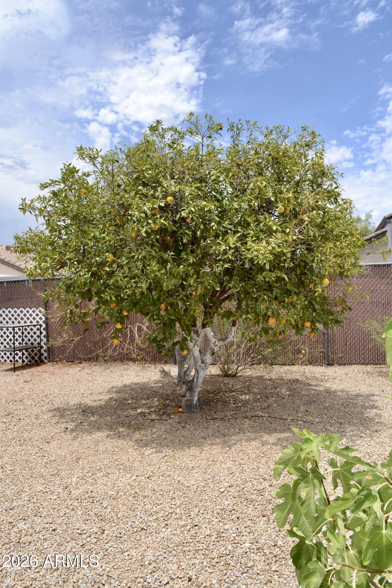 Desert Skies 55+ Mobile Home Park - Residential