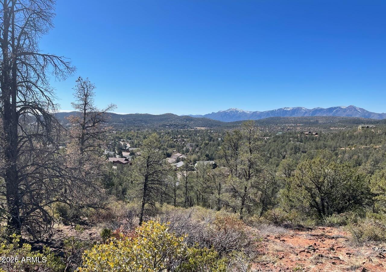 FALCON LOOKOUT - Land
