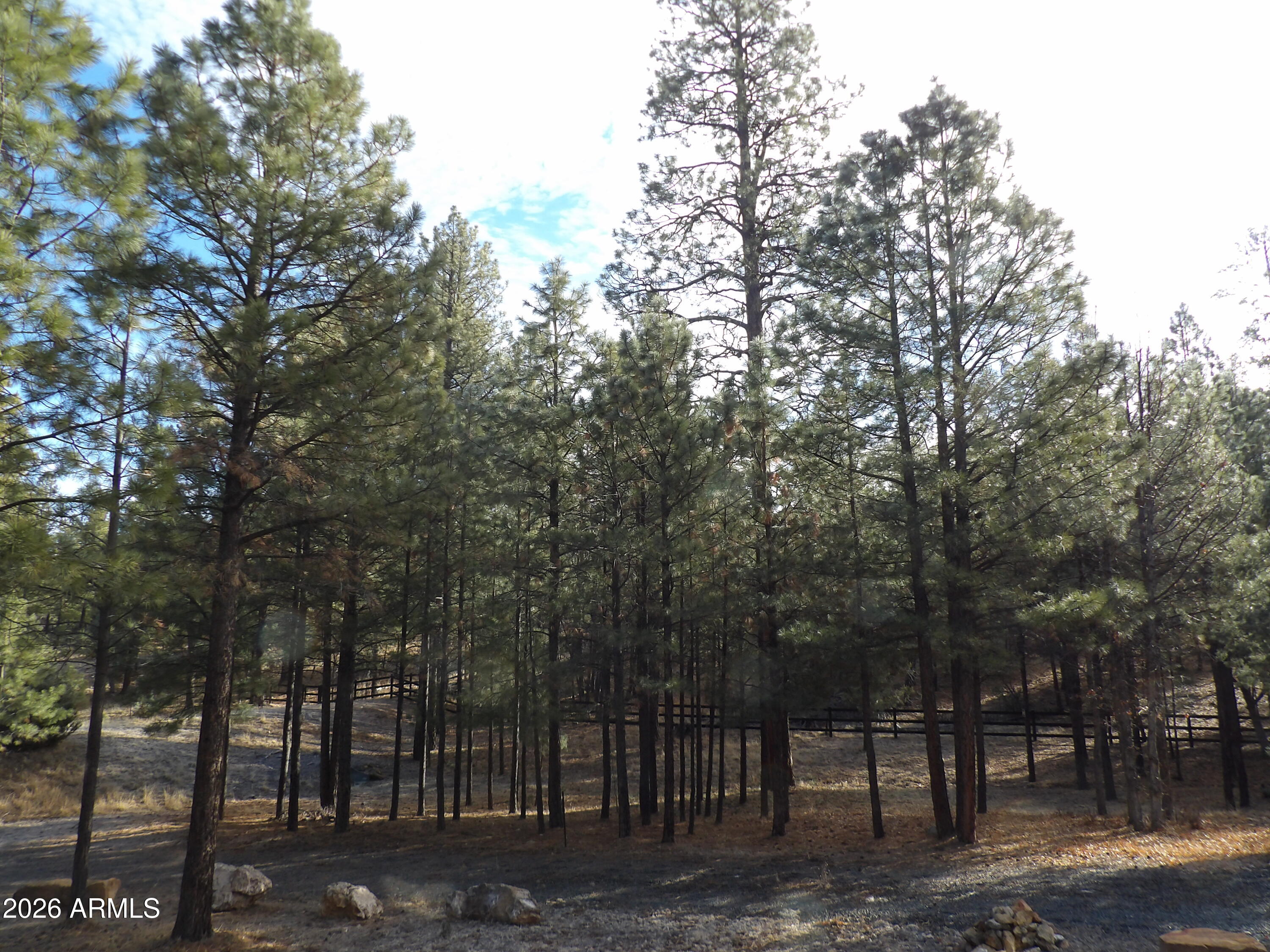 PINE CANYON 3 - Residential