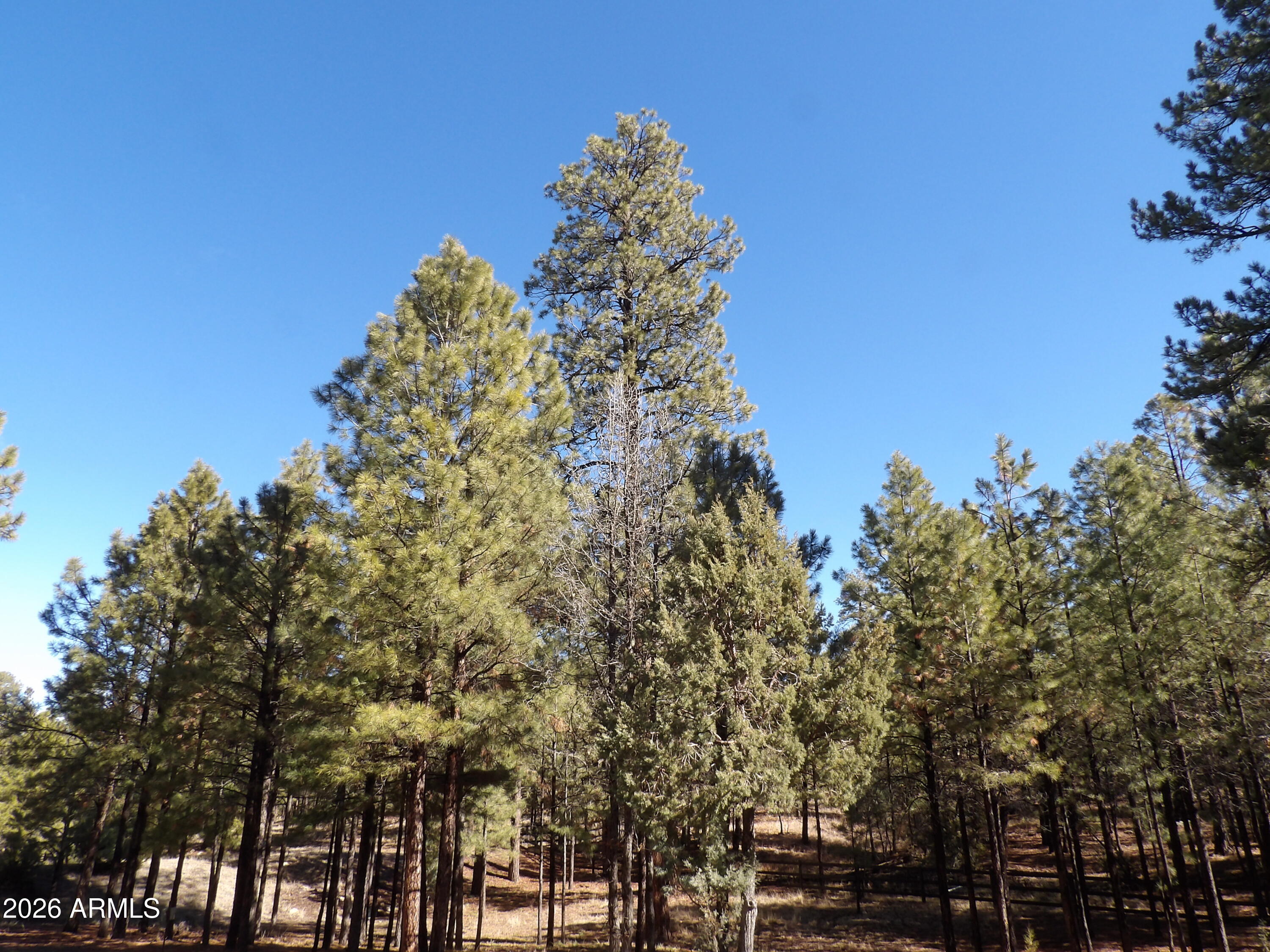 PINE CANYON 3 - Residential