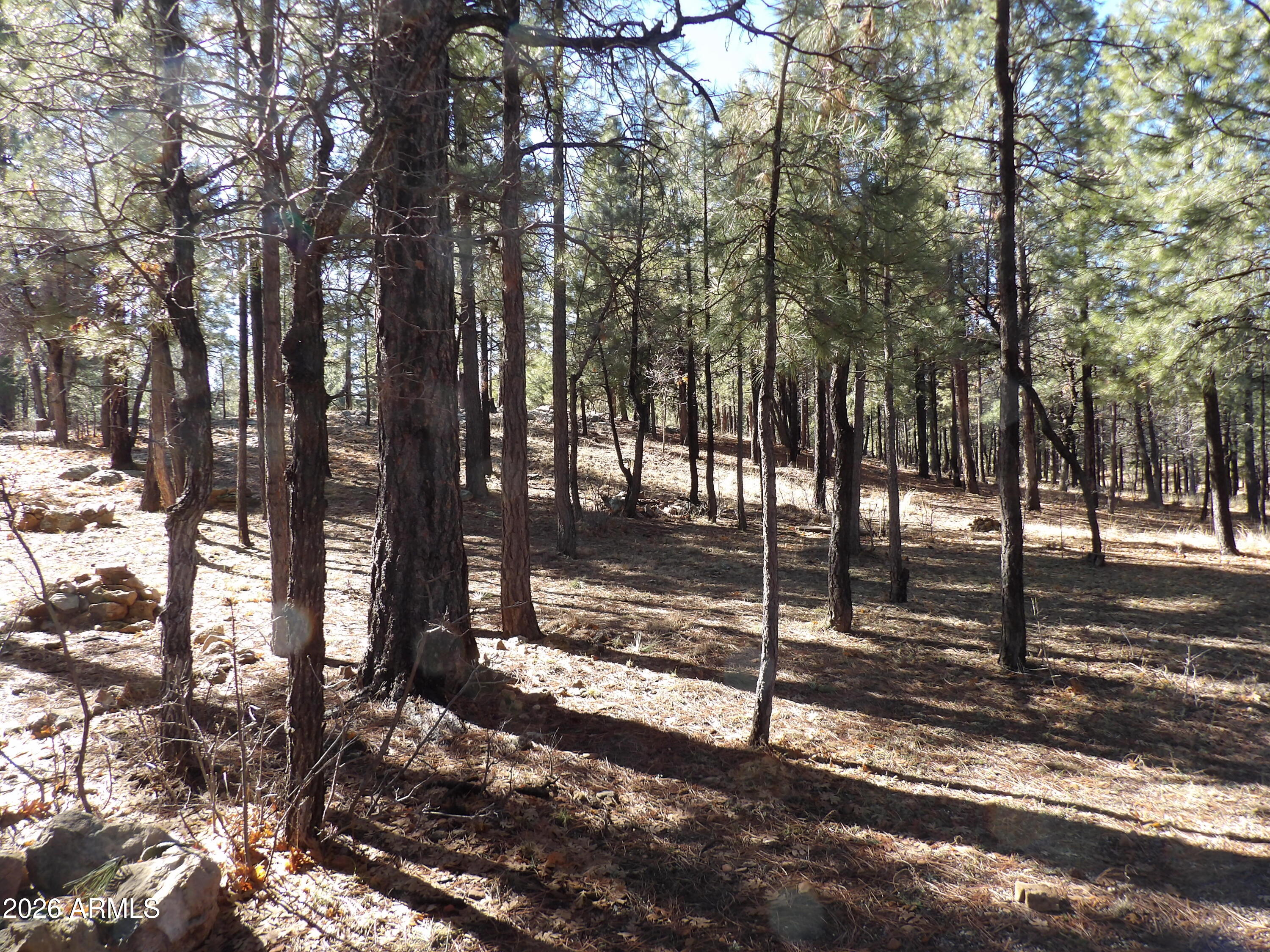 PINE CANYON 3 - Residential