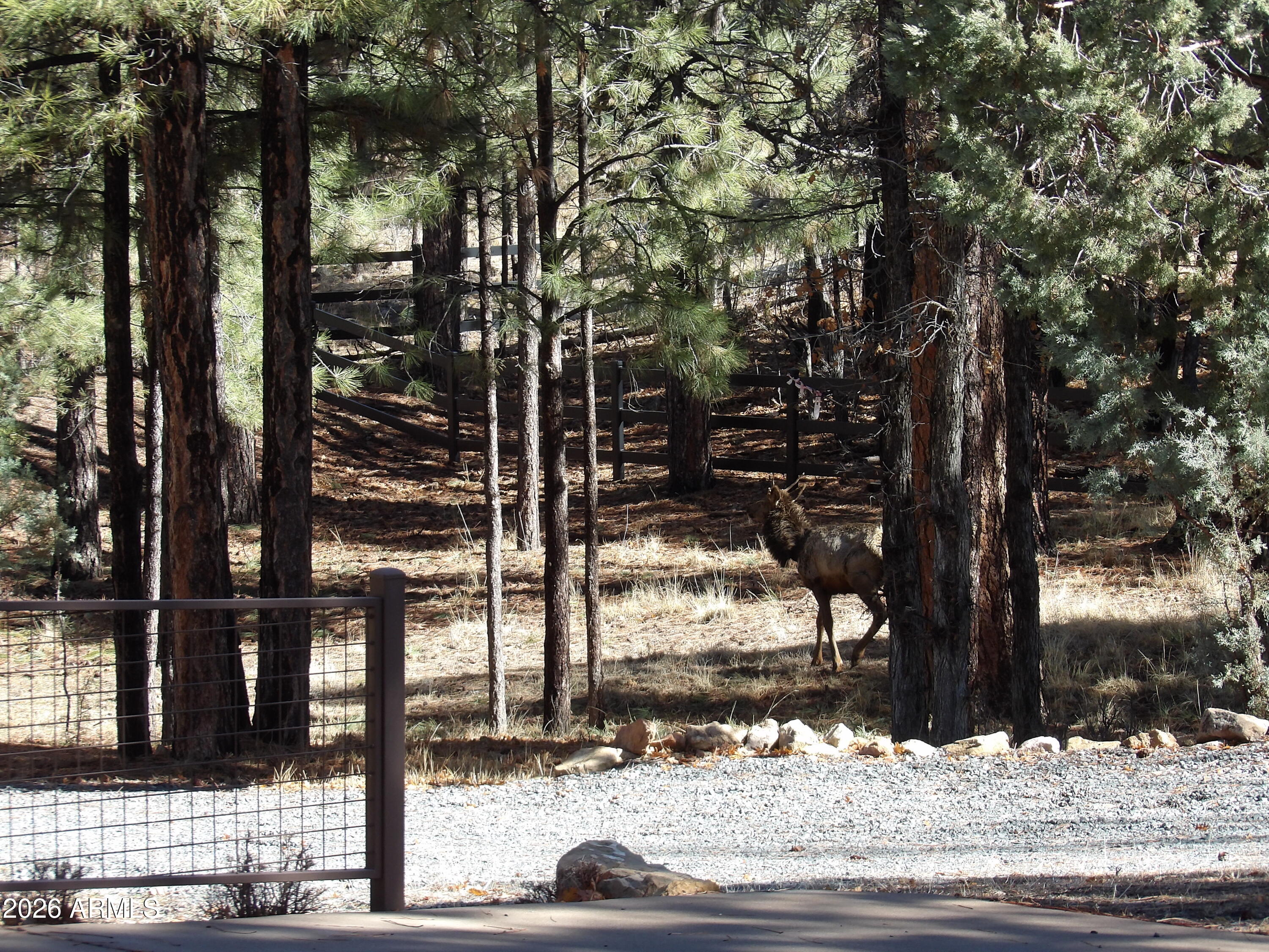 PINE CANYON 3 - Residential
