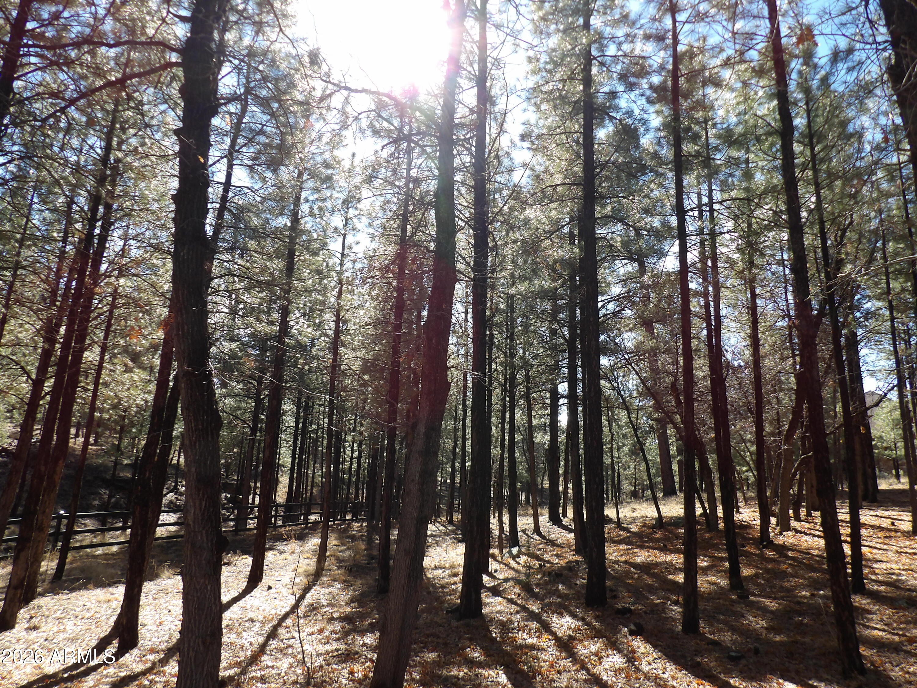 PINE CANYON 3 - Residential