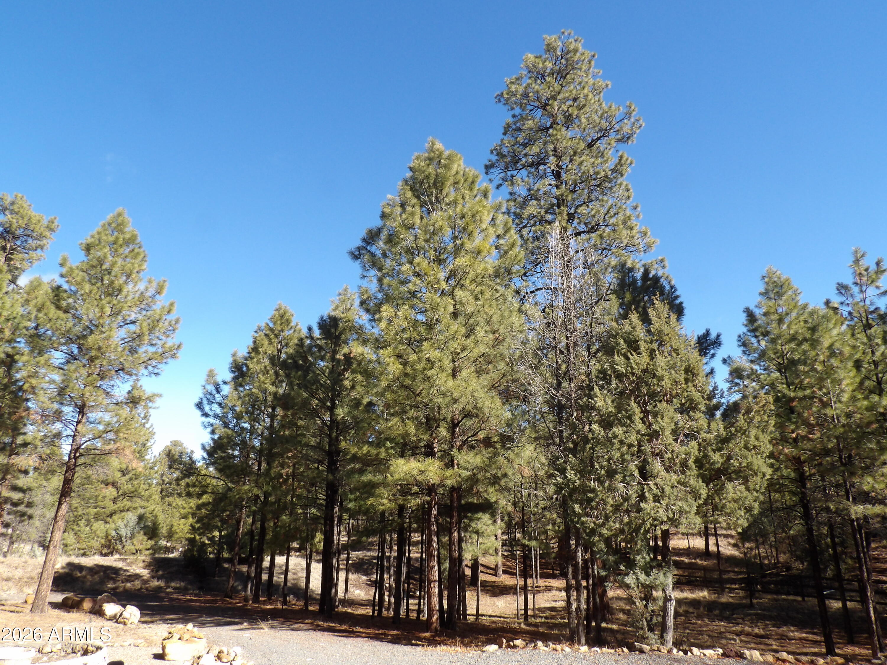 PINE CANYON 3 - Residential