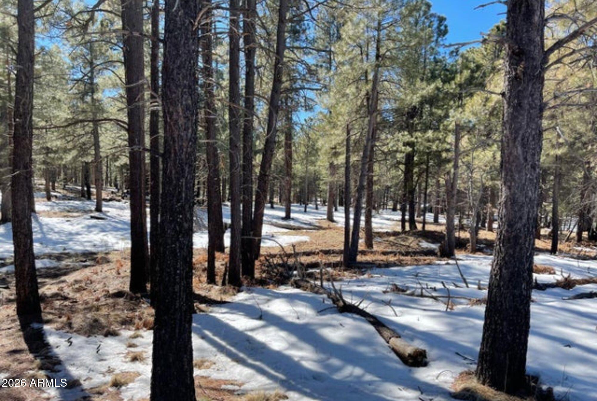 FOREST LAKES ESTATES 11 - Land
