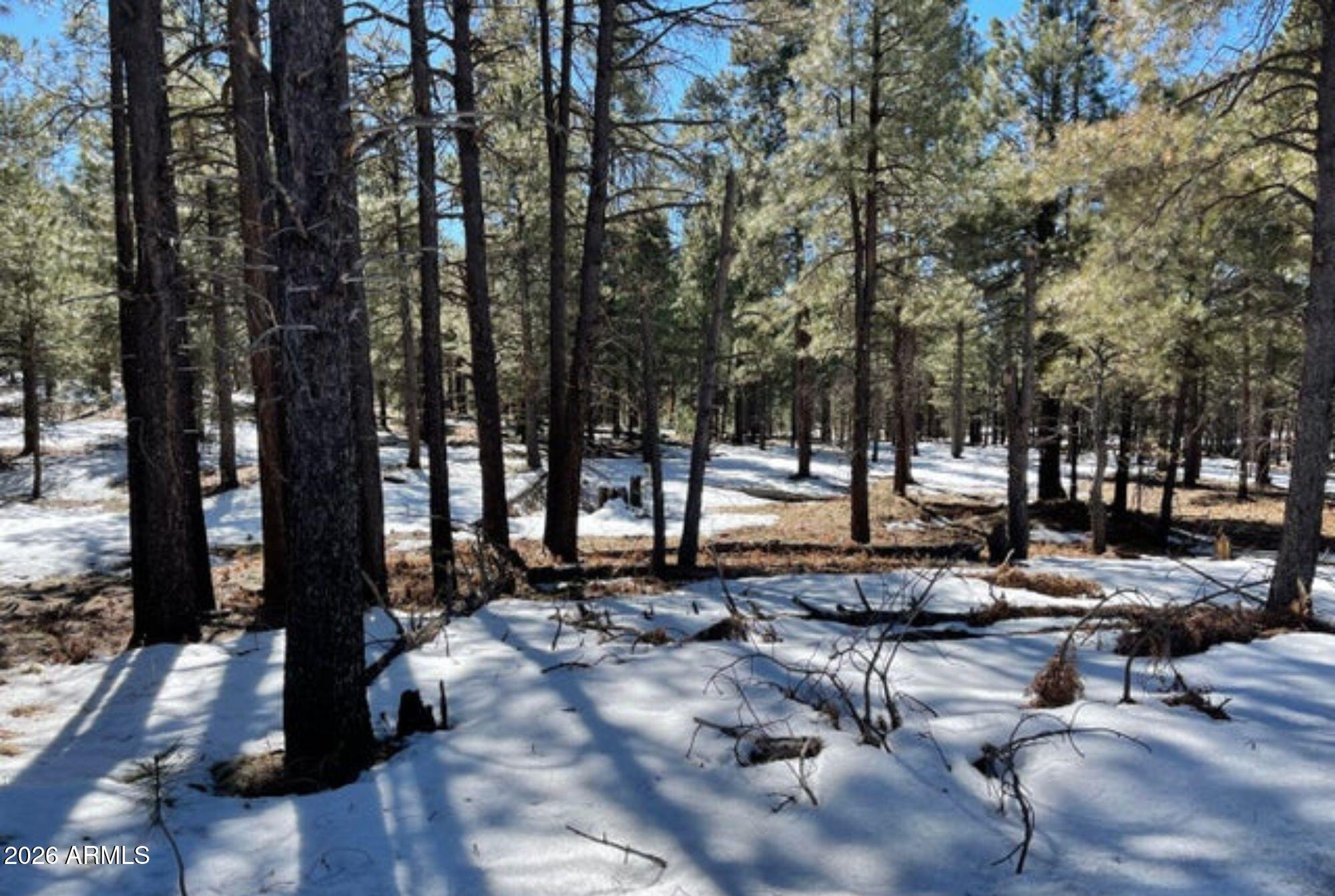 FOREST LAKES ESTATES 11 - Land