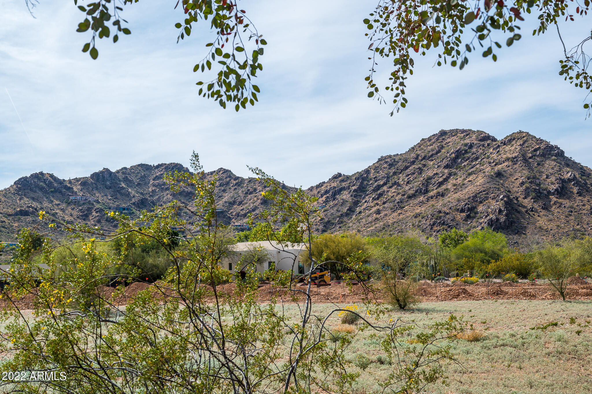 Mummy Mountain Estates - Residential