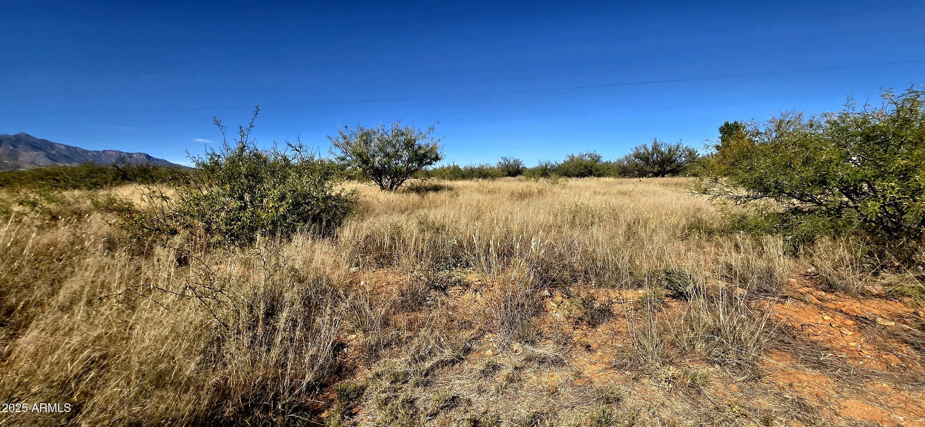 PALOMINAS RANCHES UNIT 1 - Land