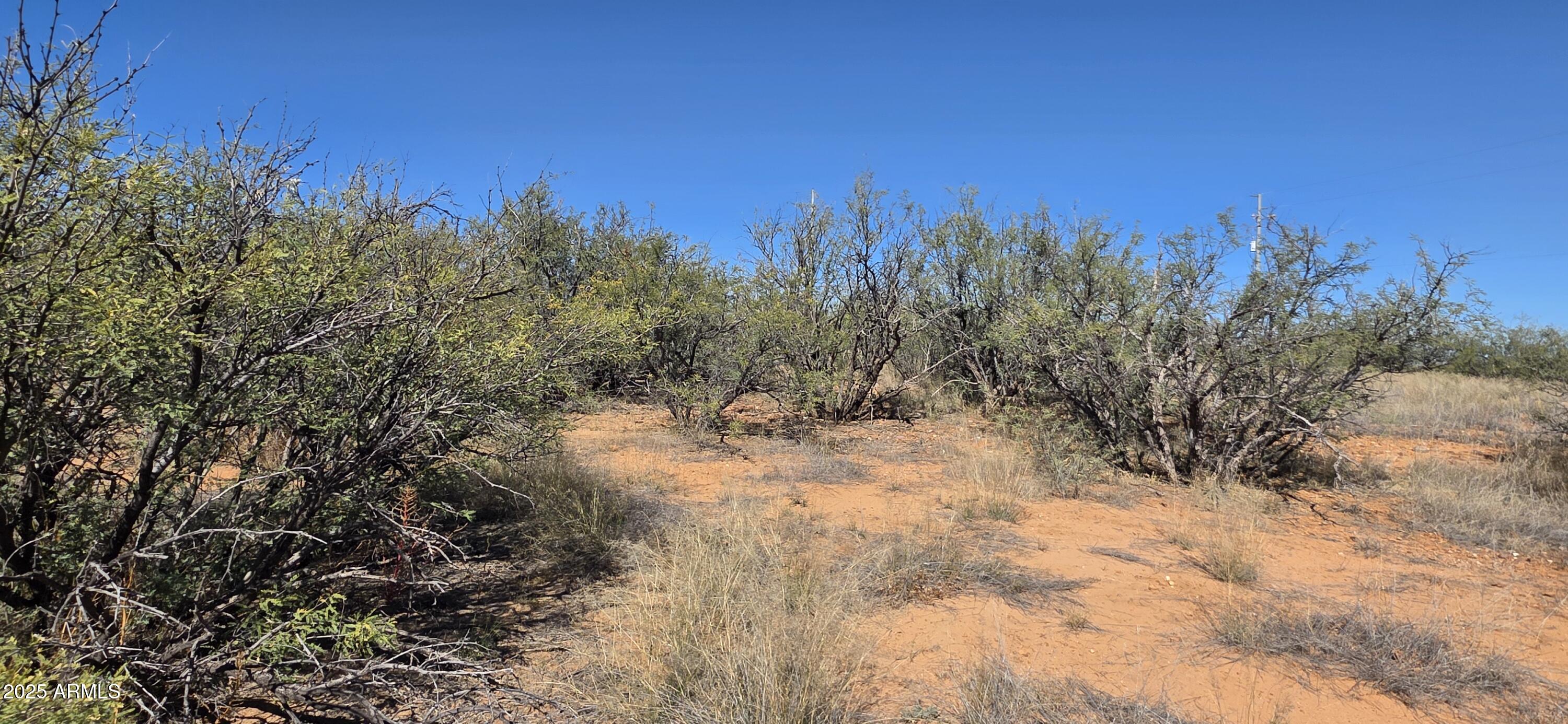 PALOMINAS RANCHES UNIT 1 - Land