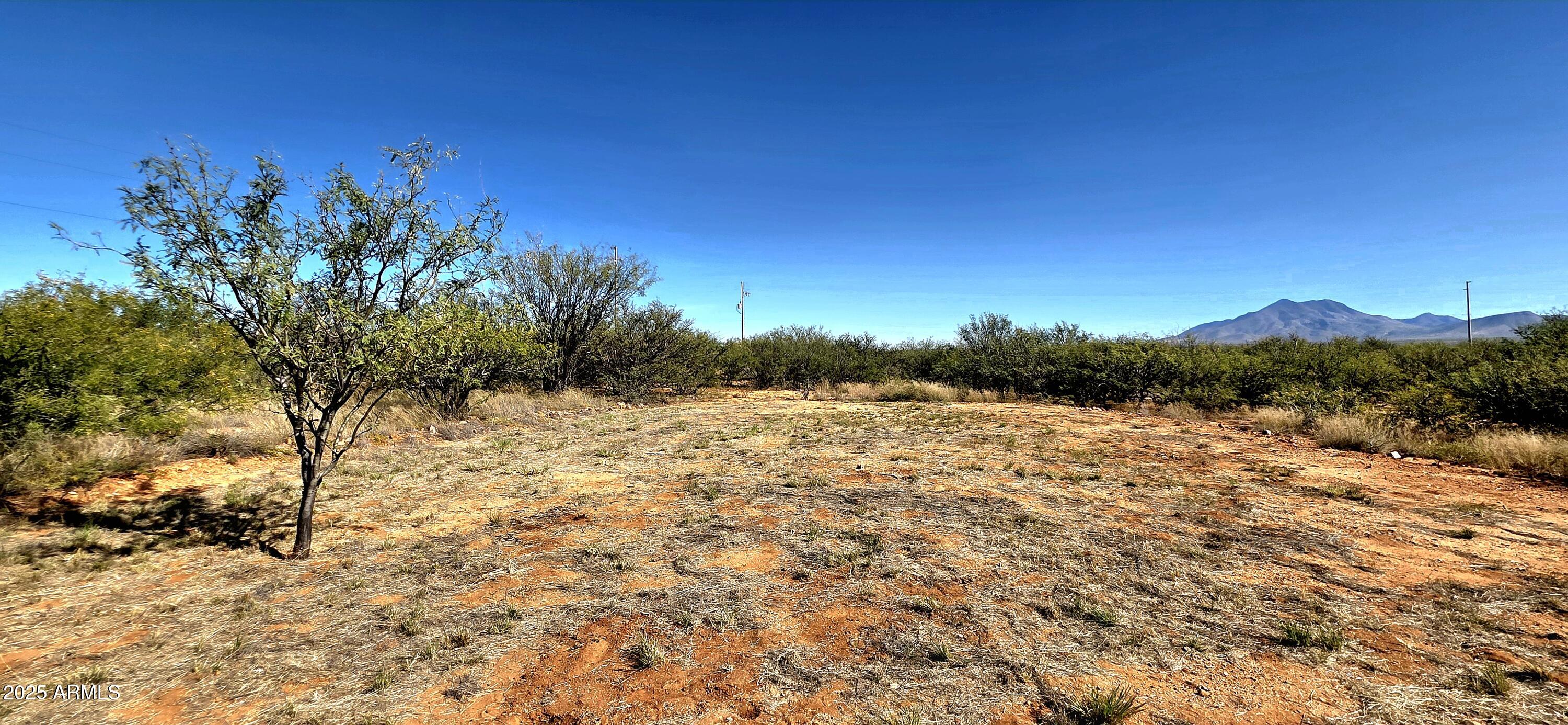 PALOMINAS RANCHES UNIT 1 - Land