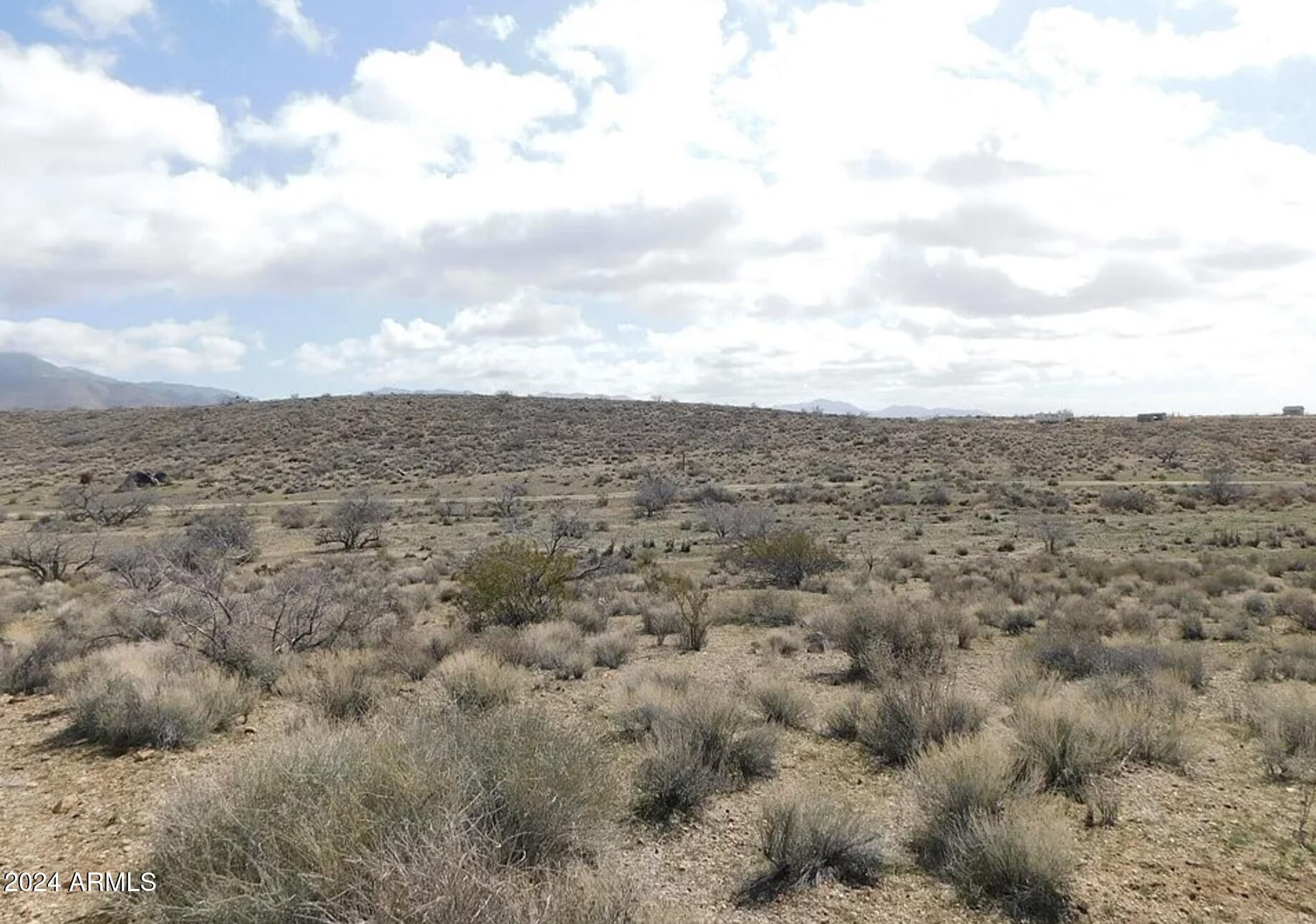 SILVER SAGE - Land