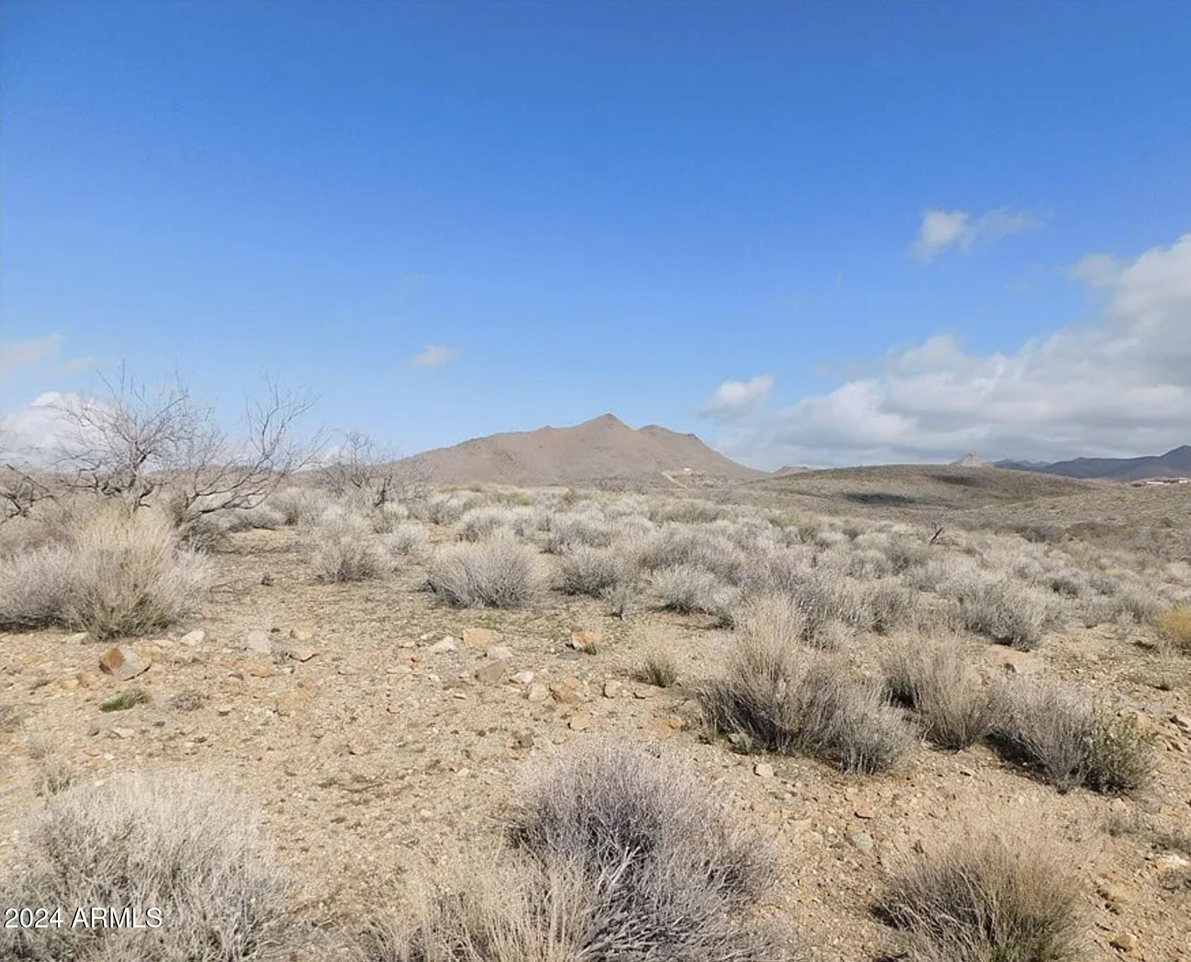 SILVER SAGE - Land