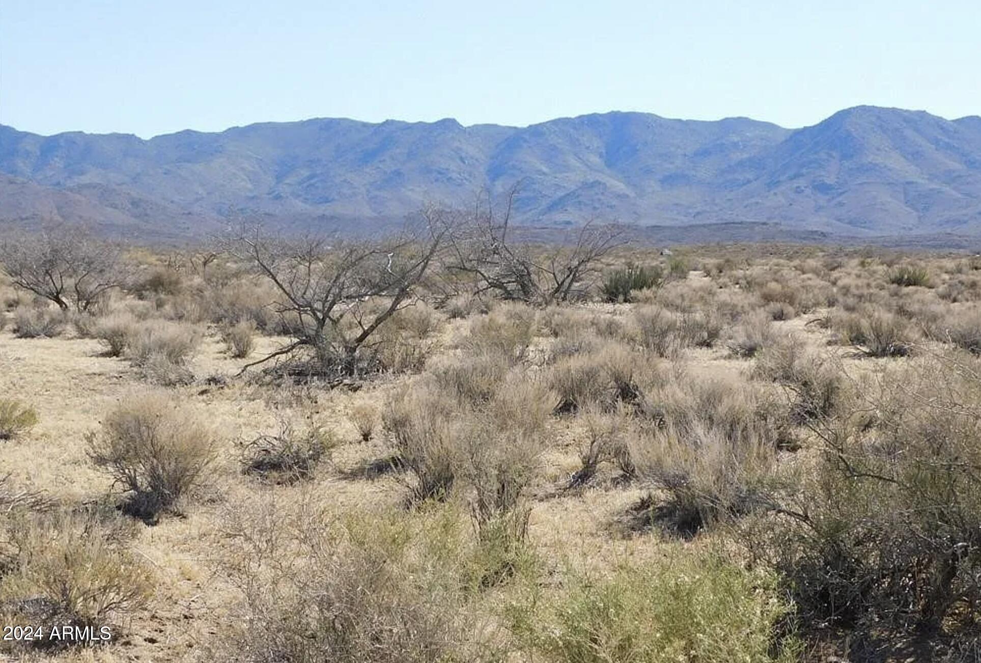 SILVER SAGE - Land