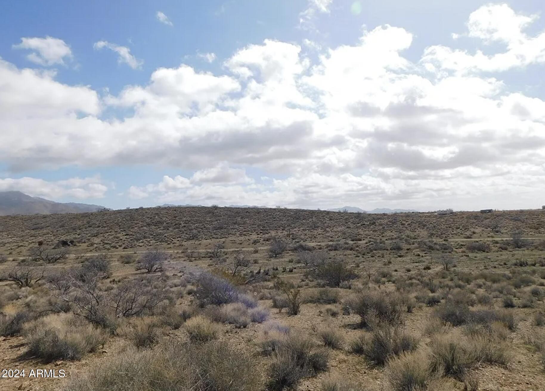 SILVER SAGE - Land