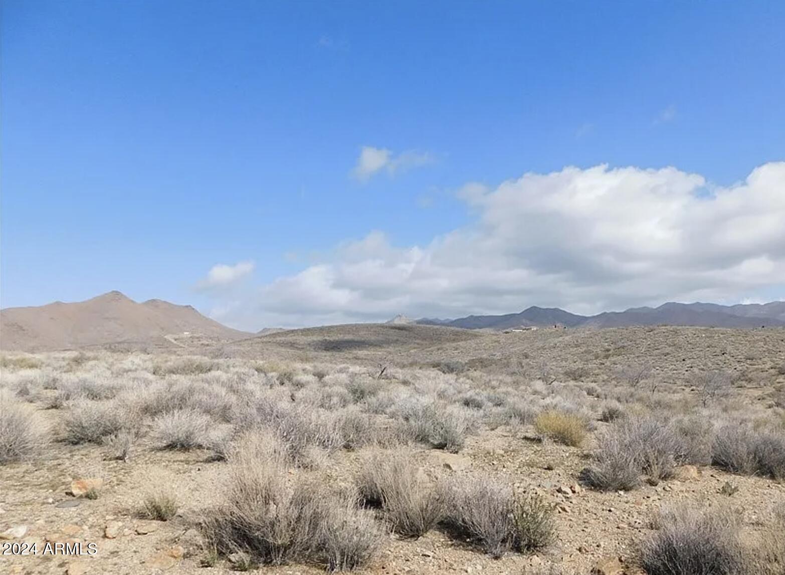 SILVER SAGE - Land